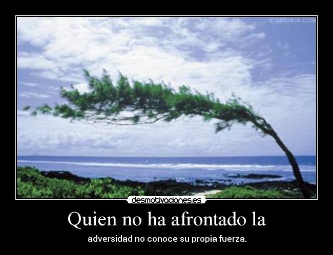 quien-no-ha-afrontado-la-adversidad-2