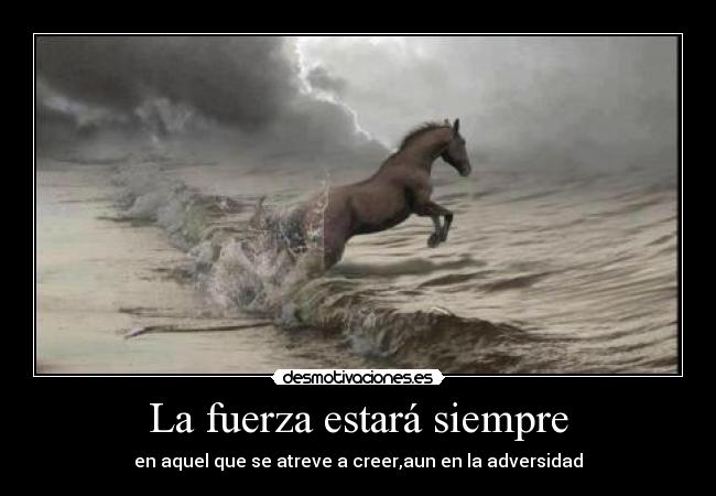 quien-no-ha-afrontado-la-adversidad-3