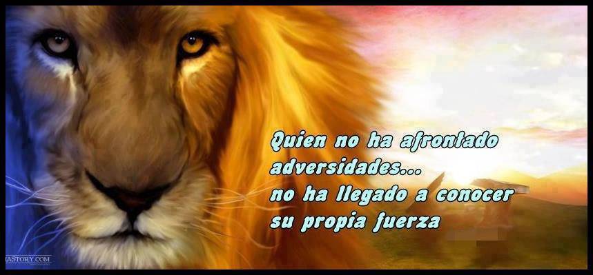 quien-no-ha-afrontado-la-adversidad-7