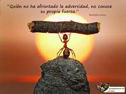 quien-no-ha-afrontado-la-adversidad-8