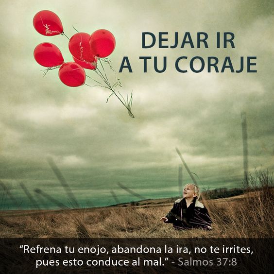 e6c43b23a8c6f3bd35e71b71496b6a45