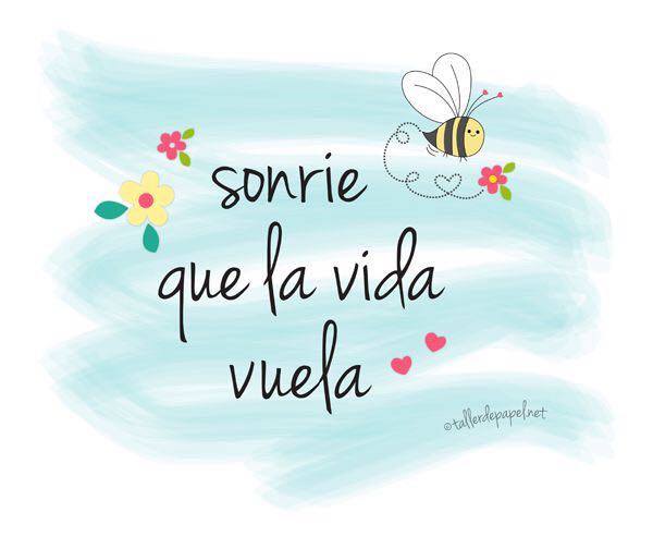 14459739_540877132790136_1390954637_n