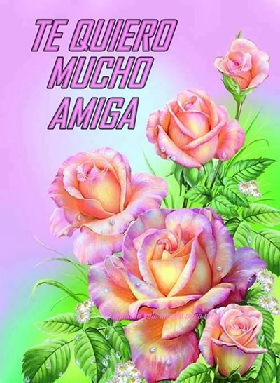 Imágenes con frases te quiero mucho amiga para siempre