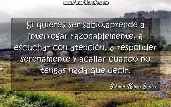 1726_si-quieres-ser-sabioaprende-a-interrogar