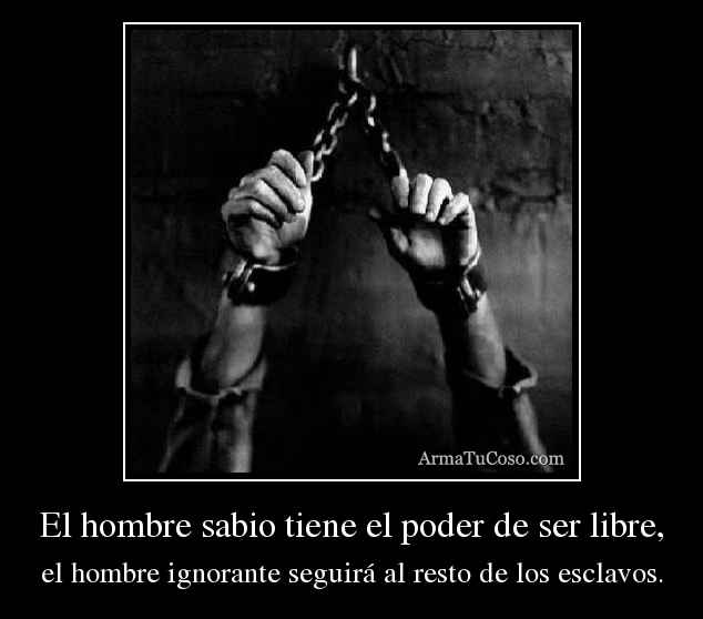 armatucoso-el-hombre-sabio-tiene-el-poder-de-ser-libre-2637761