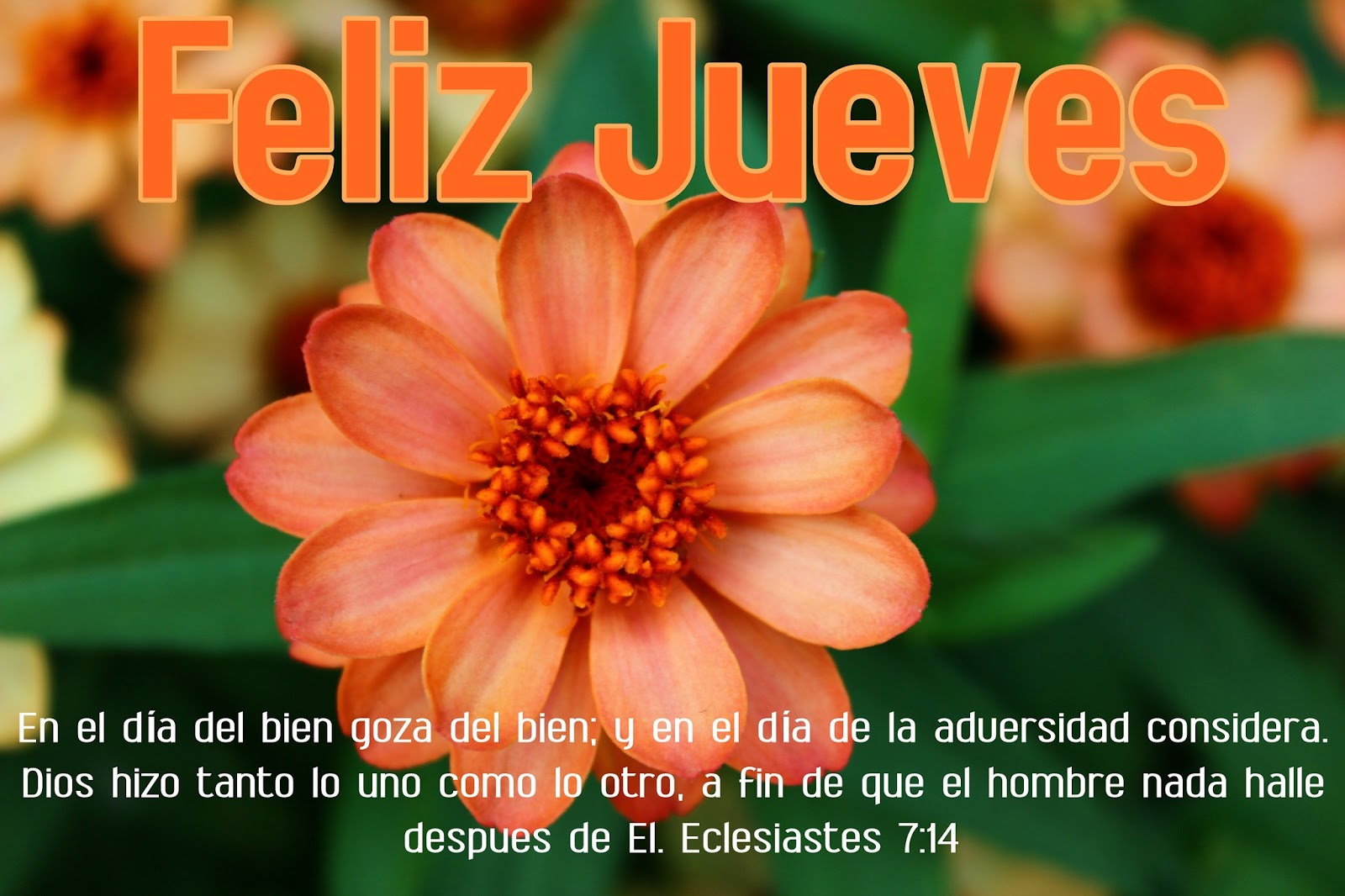 ▷ Imágenes con mensajes bíblicos para hoy jueves