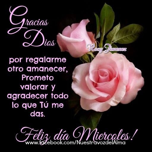 ▷ Imágenes con mensajes biblicos para hoy miércoles