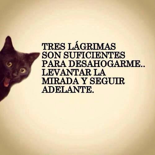 pensamientos bonitos 3