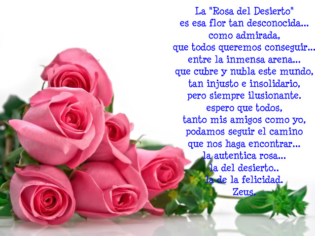 versos-de-poemas-de-amor-para-facebook