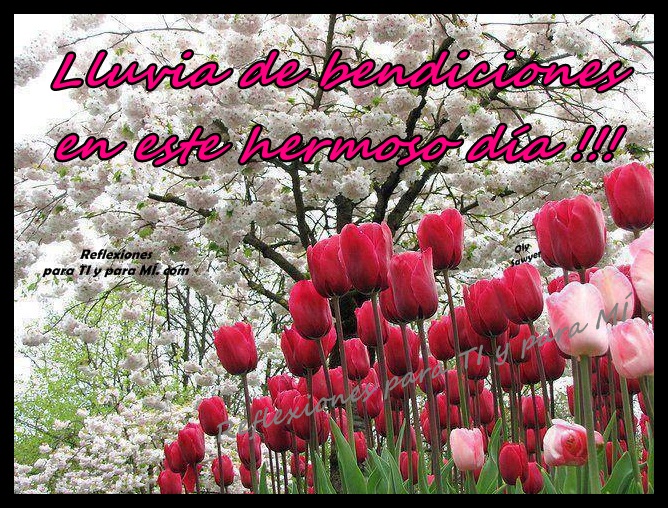 -frases-de-lluvia-de-bendiciones-para-ti