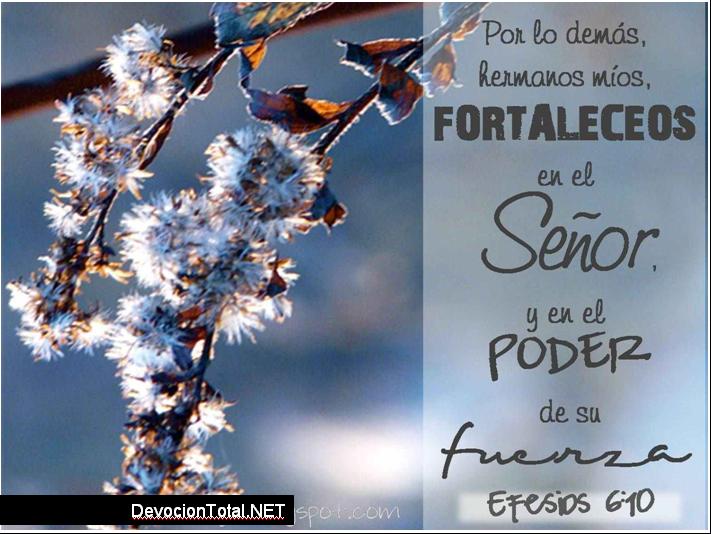 el-señor-te-fortalece 3