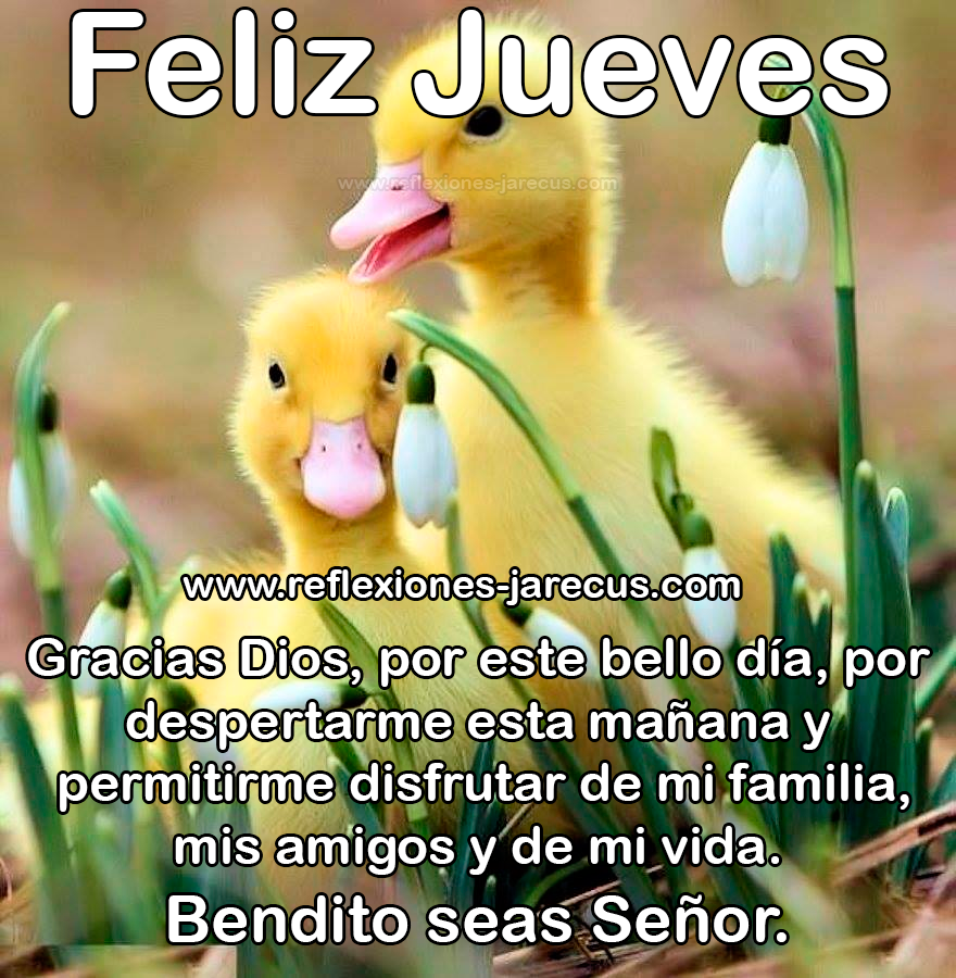 buenos-días-feliz-jueves 3