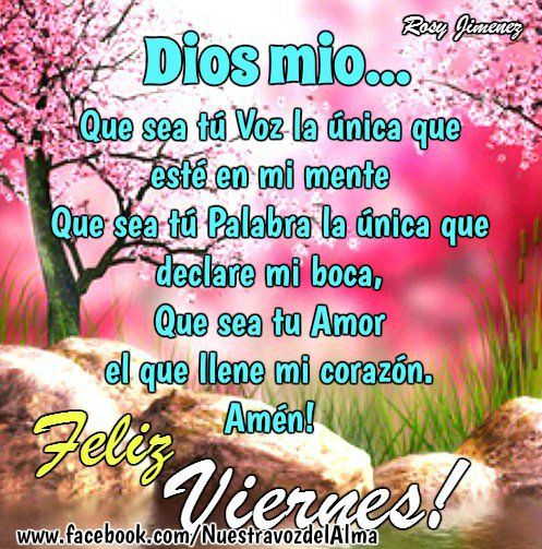 buenos-días-feliz-viernes 4