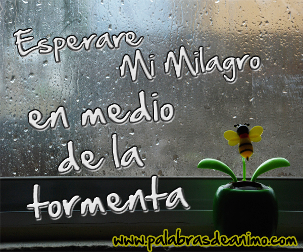 Esperare-mi-milagro-en-medio-de-la-tormenta