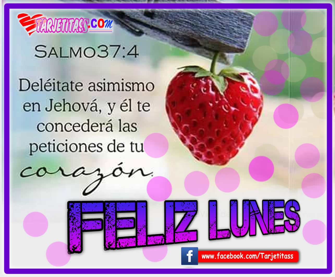 que tengas un feliz lunes1