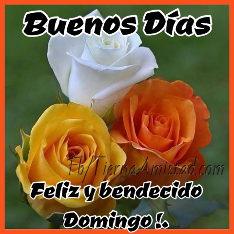 blogger-image-1866633763