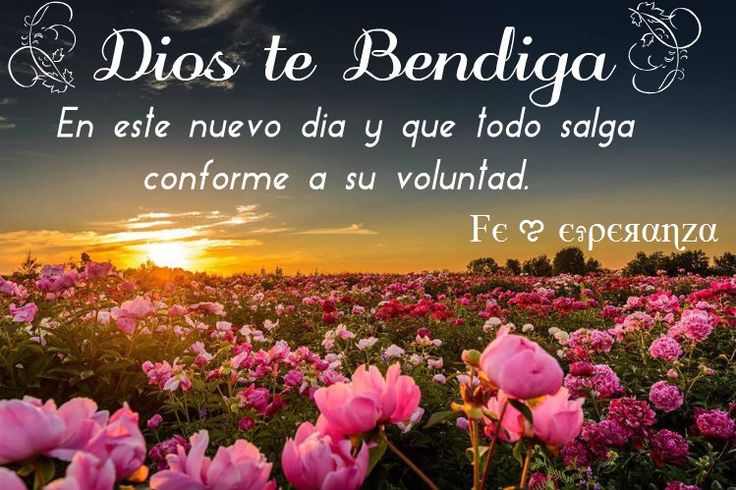 que-dios-bendiga-este-viernes 10