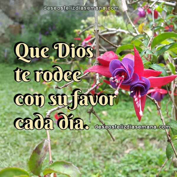 que-dios-bendiga-este-viernes 5