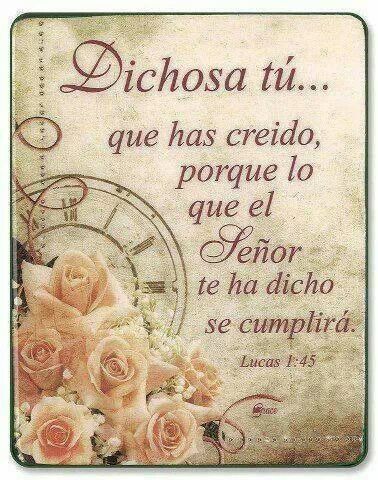 e9698c1a0ba98c4f39c1f81e5b88edfc