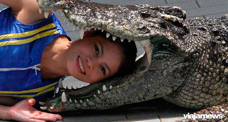 ▷ Imágenes curiosas