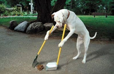 Fotos-CURIOSAS-que-NO-se-ven-todos-los-días-8