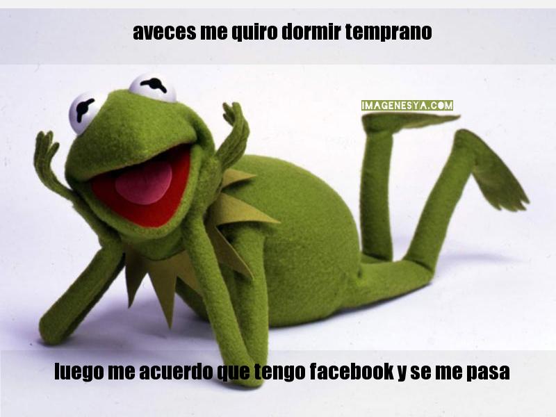 ▷ Imágenes de a dormir chistosas