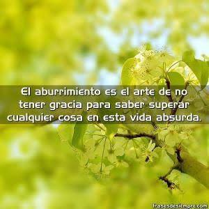 12910091_468914283319755_361790835_n