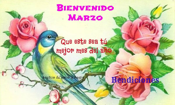 ▷ Imágenes de adiós febrero bienvenido marzo