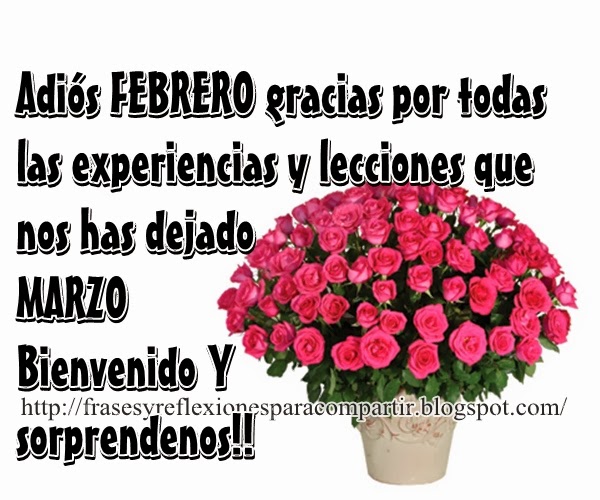 ▷ Imágenes de adiós mes de febrero