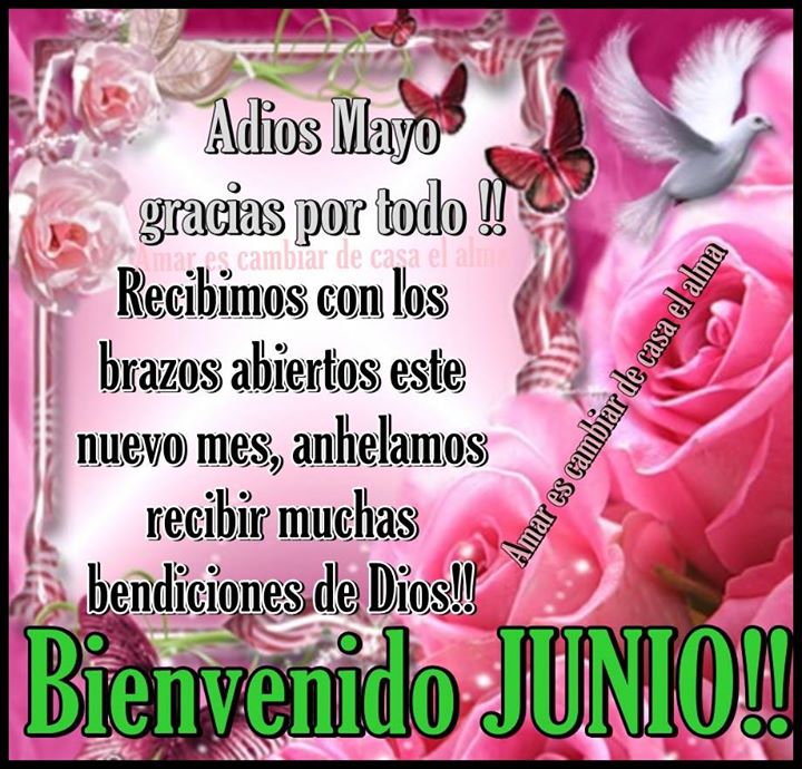 Imagenes-con-frases-de-bienvenido-junio-2015