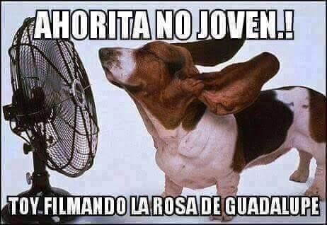 12910331_468921356652381_1705898712_n