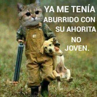 12920947_468921383319045_775827784_n