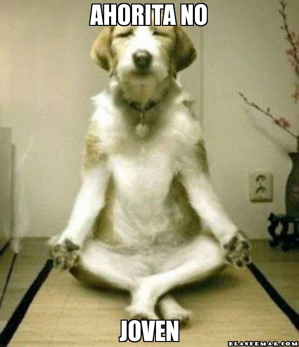 ahorita-no-joven-divertido