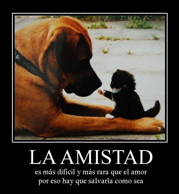 la-amistad-es-mas-dificil-y-mas-rara-que-el-amor-desmotivaciones-de-amistad