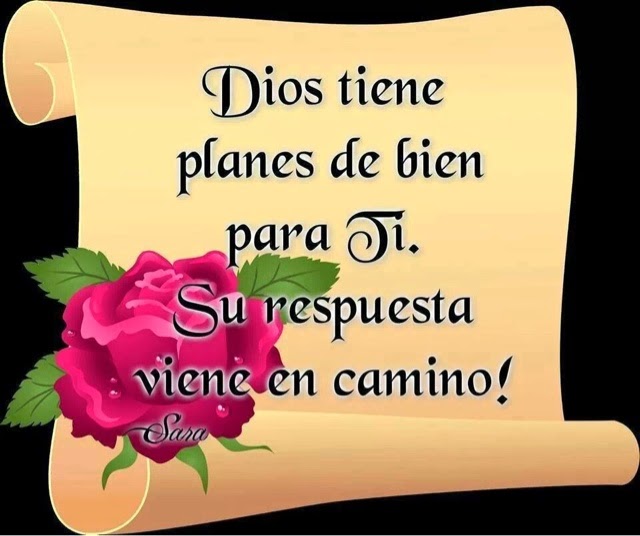 blogger-image--7244194