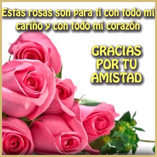 gracias-por-tu-amistad_015