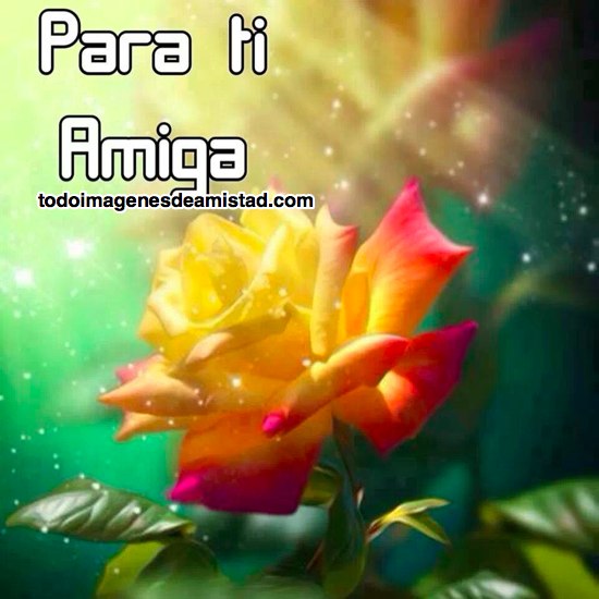 imágenes-de-amistad-para-ti-amiga