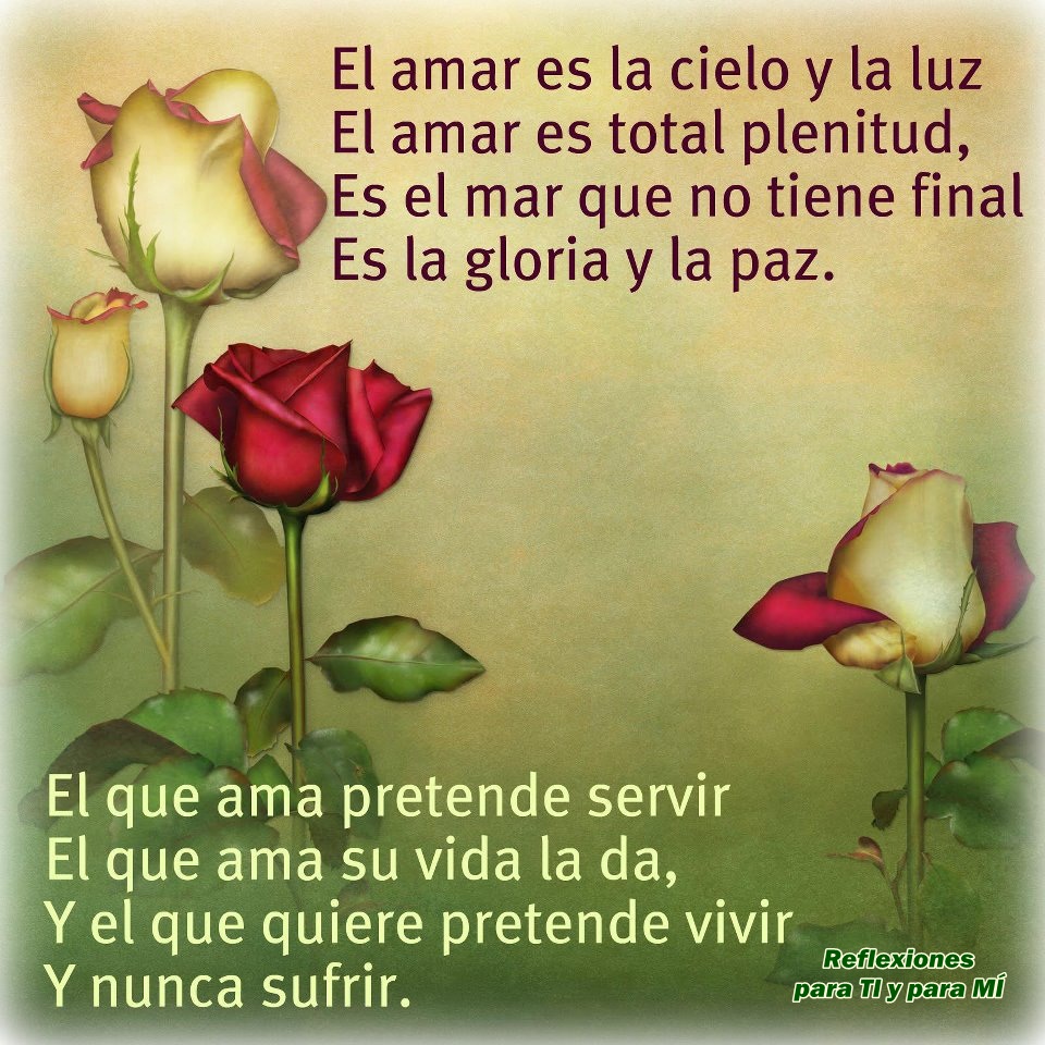 reflexiones-de-amistad-lindas-6