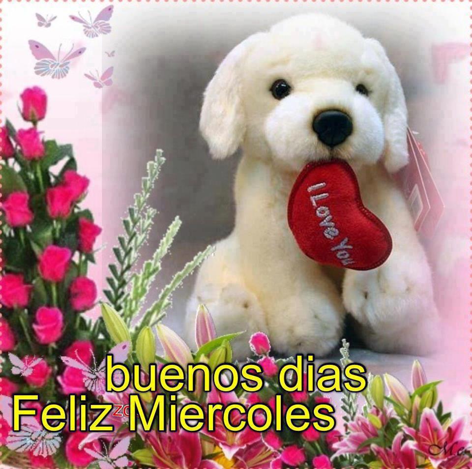 feliz-miercoles91