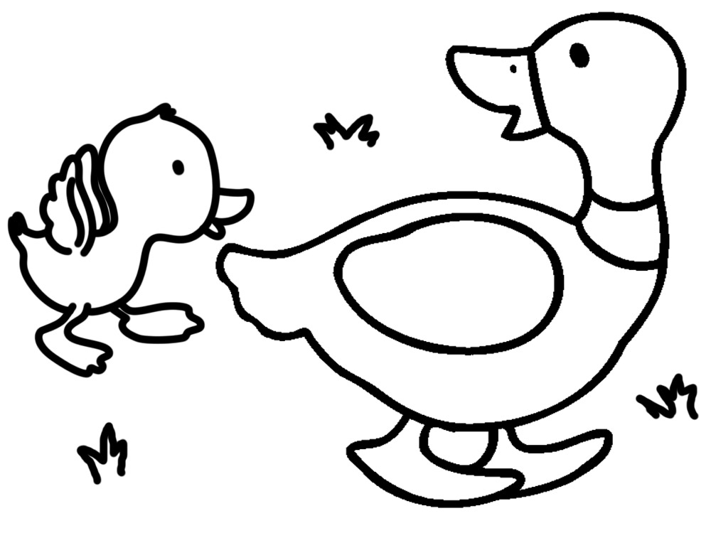 im489-Dibujos-para-colorear---animales-para-nilros-1