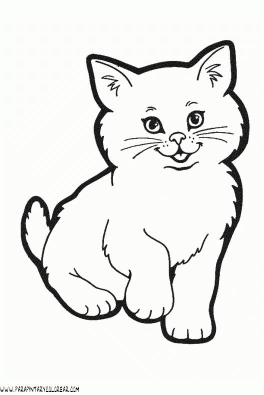 dibujos-de-gatos-5