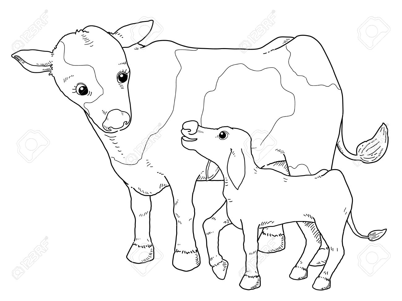 ▷ Imágenes de animales para colorear