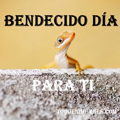Imágenes de bendecido día para ti para dedicar