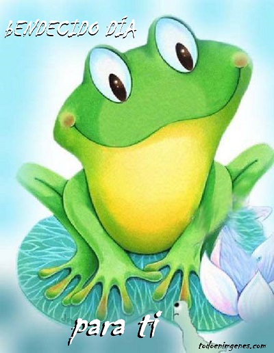 Imágenes de bendecido día para ti para dedicar