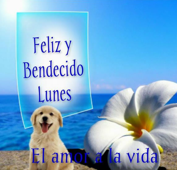 imagenes de bendecido lunes
