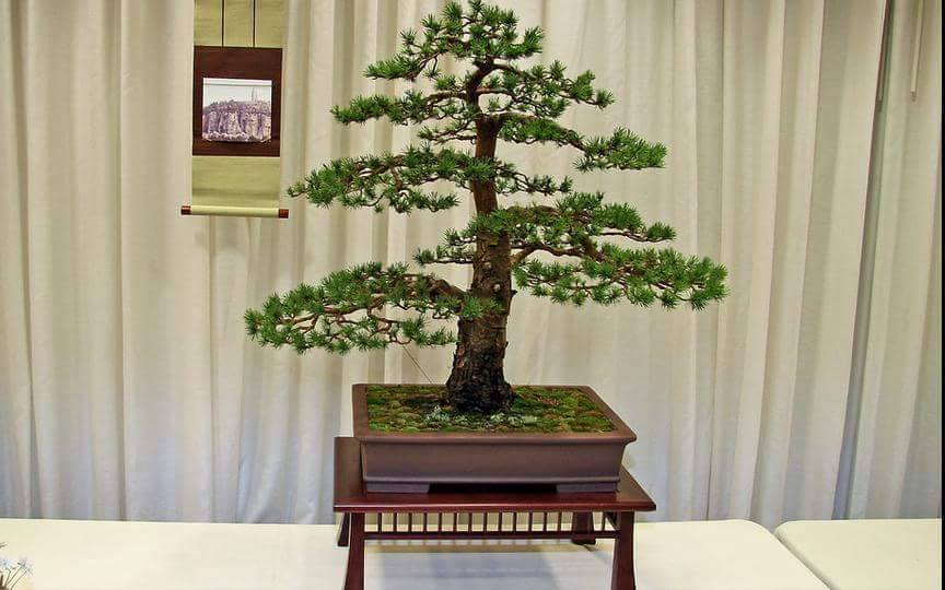 12642639_1131808373548470_8406837555441012338_n