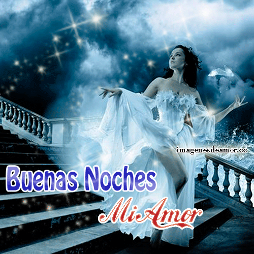 noche-bonits