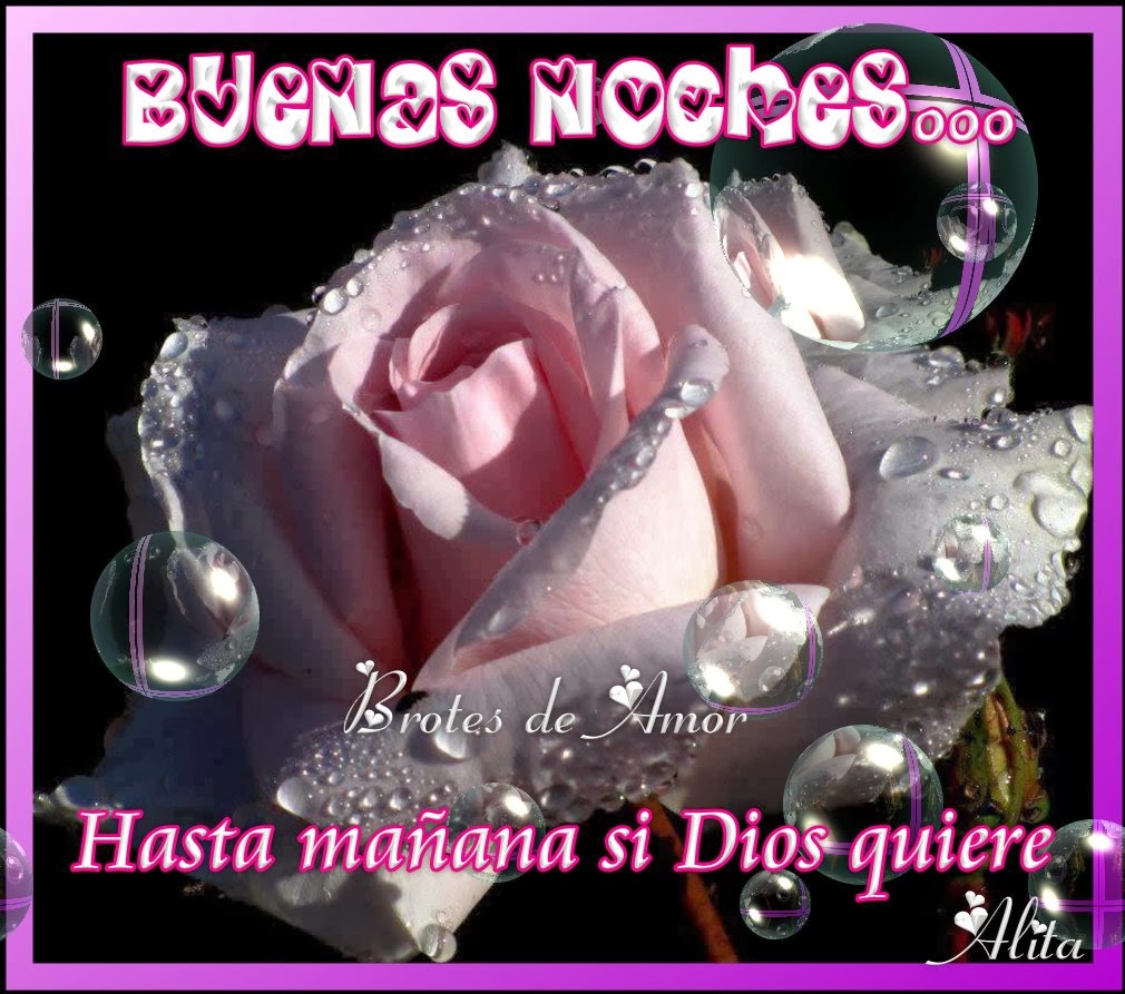 ▷ Imágenes de buenas noches con rosas