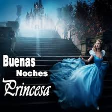 Imágenes de buenas noches princesa te amo 2