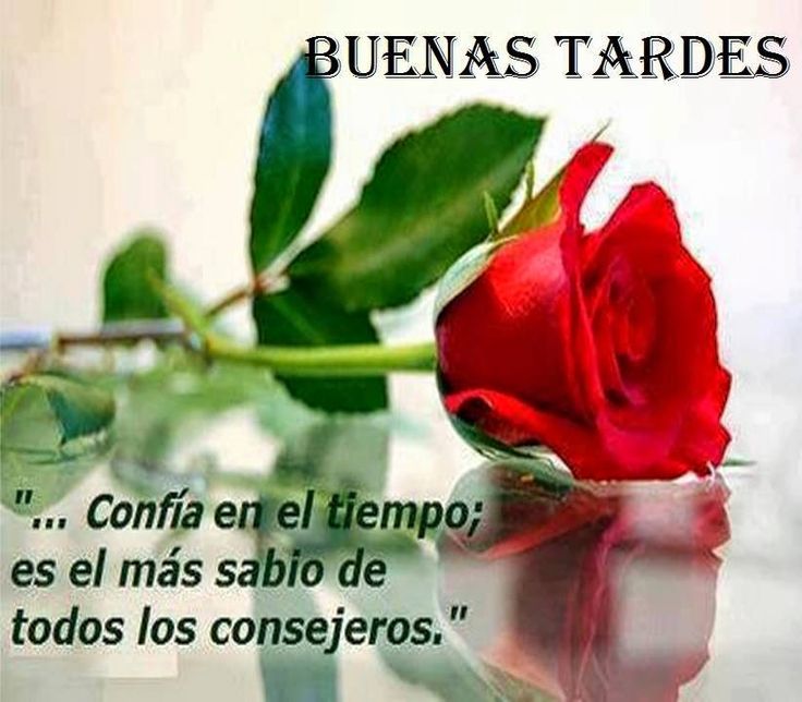▷ Imágenes de buenas tardes facebook